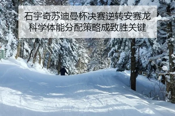 shi-yu-qi-su-di-man-bei-jue-sai-ni-zhuan-an-sai-long-ke-xue-ti-neng-fen-pei-ce-lve-cheng-zhi-sheng-guan-jian-3-500.jpg