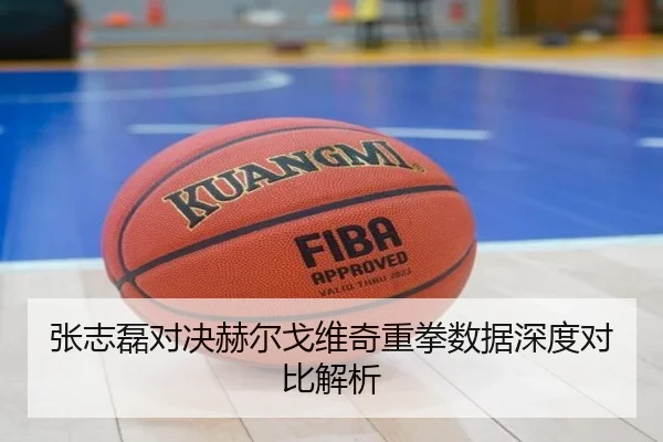 张志磊对决赫尔戈维奇重拳数据深度对比解析