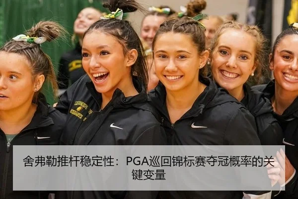 she-fu-lei-tui-gan-wen-ding-xing-xun-hui-jin-biao-sai-duo-guan-gai-lv-de-guan-jian-bian-liang-2-627.jpg