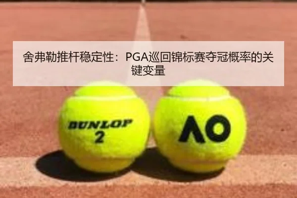 舍弗勒推杆稳定性：PGA巡回锦标赛夺冠概率的关键变量