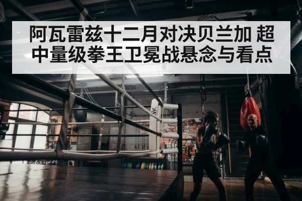 boxer training